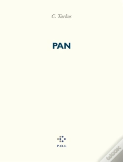 Capa do artigo Pan