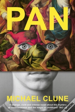 Capa do artigo Pan