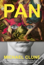 Capa do artigo Pan