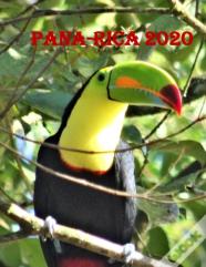 Pana-Rica