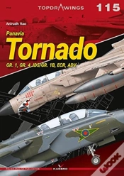 Capa do artigo Panavia Tornado