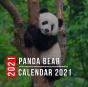 Panda Bear Calendar 2021 - Preview