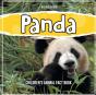 Panda - Preview