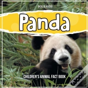 Capa do artigo Panda