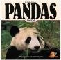 Pandas For Kids - Preview