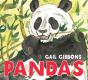 Pandas - Preview