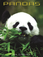Pandas - Preview
