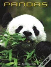 Capa do artigo Pandas