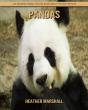 Pandas - Preview