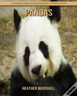 Capa do artigo Pandas
