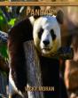 Pandas - Preview