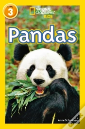 Capa do artigo Pandas