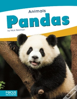 Capa do artigo Pandas
