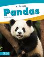 Pandas - Preview