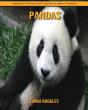 Pandas - Preview