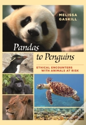 Capa do artigo Pandas To Penguins