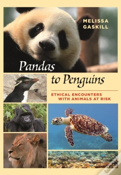 Capa do artigo Pandas To Penguins