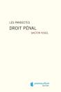 Pandectes Droit Penal (Les) - Preview