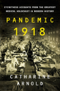 Pandemic 1918 - Preview