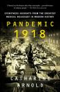 Pandemic 1918 - Preview