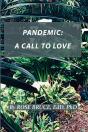 Pandemic - Preview