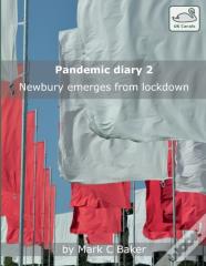 Pandemic Diary 2