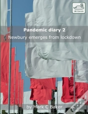 Capa do artigo Pandemic Diary 2