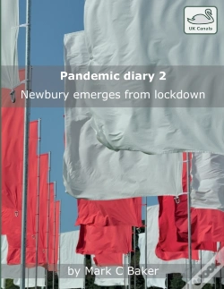 Capa do artigo Pandemic Diary 2