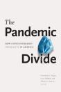 Pandemic Divide - Preview
