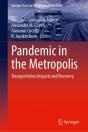 Pandemic In The Metropolis - Preview