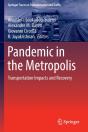 Pandemic In The Metropolis - Preview