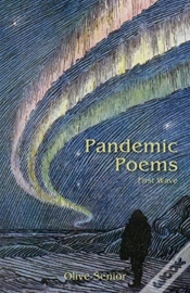 Capa do artigo Pandemic Poems