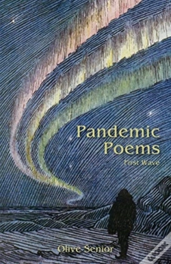 Capa do artigo Pandemic Poems