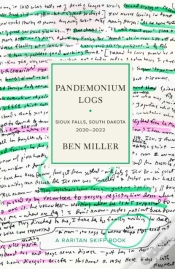 Capa do artigo Pandemonium Logs