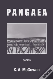 Capa do artigo Pangaea