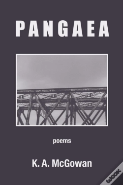 Capa do artigo Pangaea