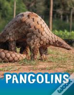 Pangolins