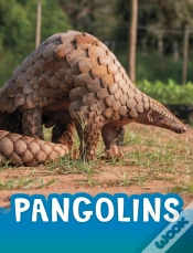Capa do artigo Pangolins