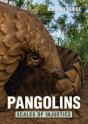 Pangolins - Preview