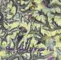 Panic Grass & Fever Few - CD - Preview