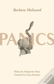 Capa do artigo Panics