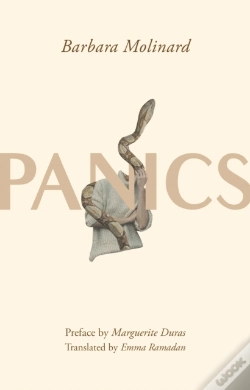 Capa do artigo Panics