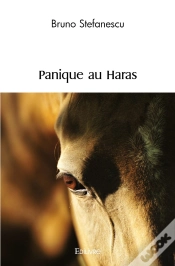 Capa do artigo Panique Au Haras