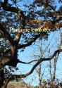 Panique En Forêt - Preview
