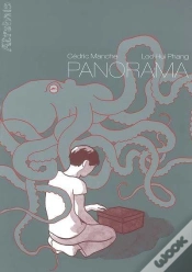 Capa do artigo Panorama