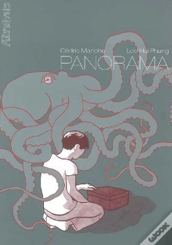 Capa do artigo Panorama