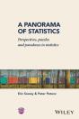 Panorama Of Statistics - Preview