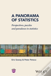 Capa do artigo Panorama Of Statistics