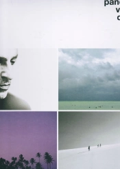Capa do artigo Panorama - Vinil