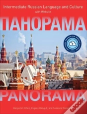 Capa do artigo Panorama With Website